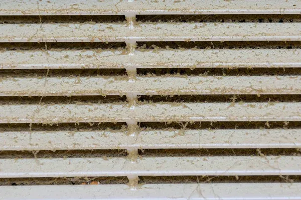 deal with Mold in Air Ducts