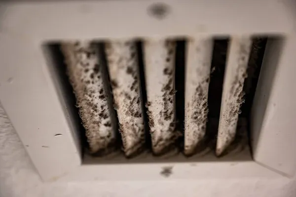 Mold in Air Ducts