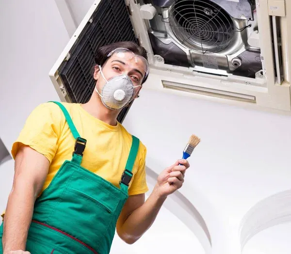 Sanitizing air ducts