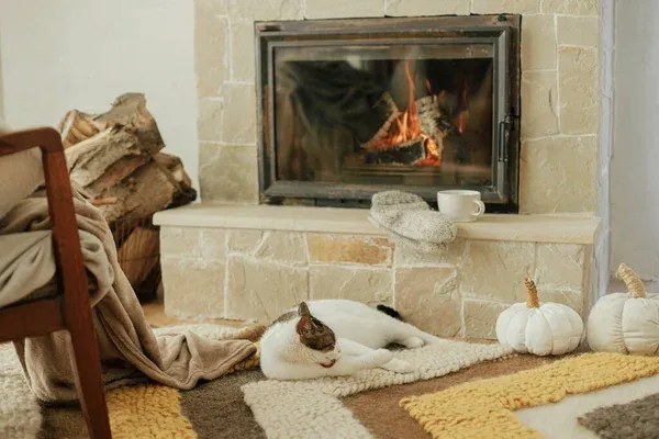 Tips to Keep Your Fireplace in Good Shape