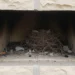 how-often-to-clean-chimney-If-not-used