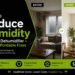 How to Reduce Humidity Without Dehumidifier – Easy & Affordable Fixes