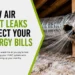 Air Duct Leaks